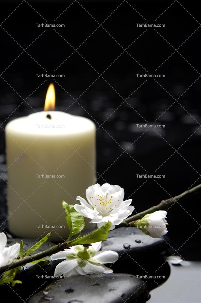 تصاویر مناسبت ها